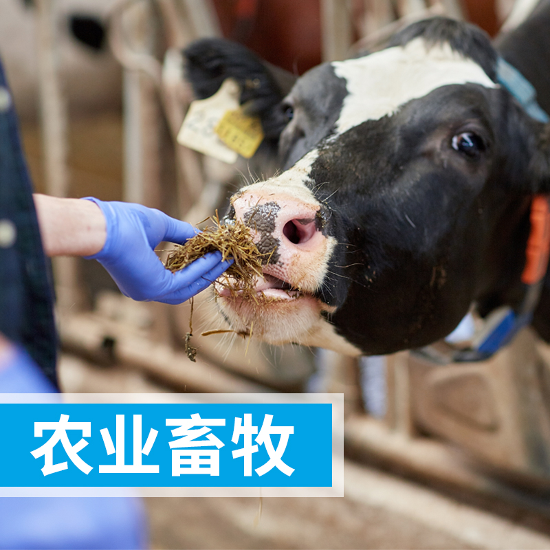 高效液相色譜儀對動(dòng)物性食品中氟喹諾酮類藥物殘留檢測方法